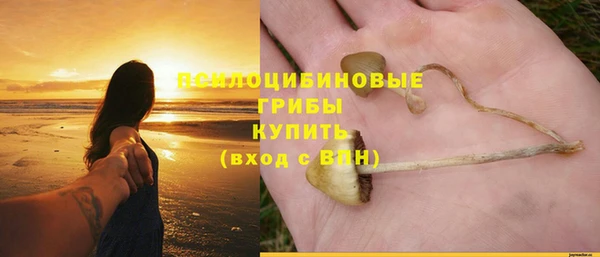 молекула духа Абдулино