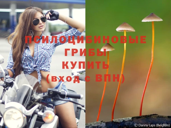 молекула духа Абдулино